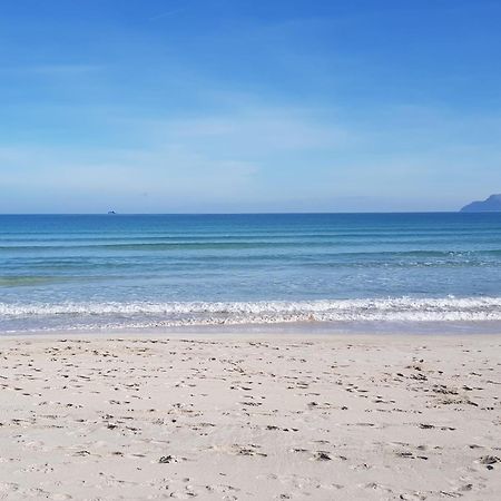 Ideal Property Mallorca - Playasol Port de Alcudia  Eksteriør billede