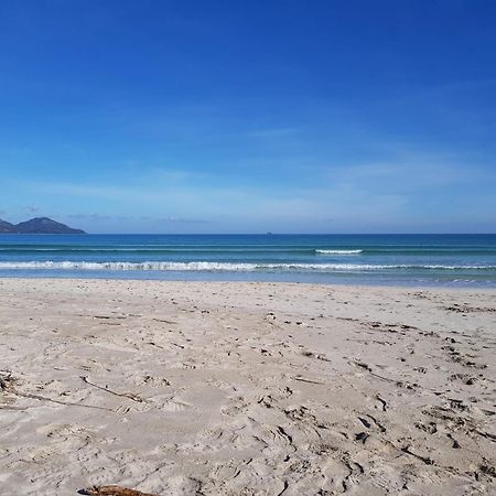 Ideal Property Mallorca - Playasol Port de Alcudia  Eksteriør billede