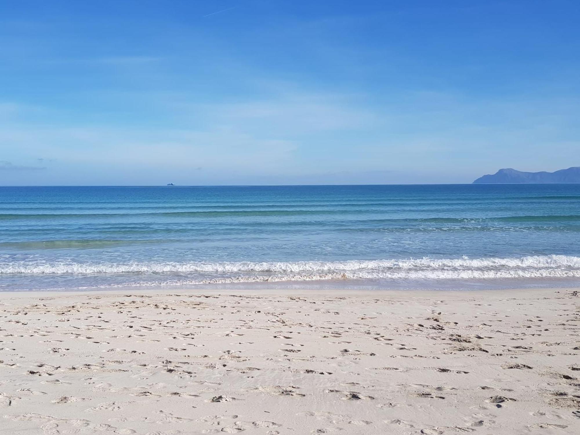 Ideal Property Mallorca - Playasol Port de Alcudia  Eksteriør billede